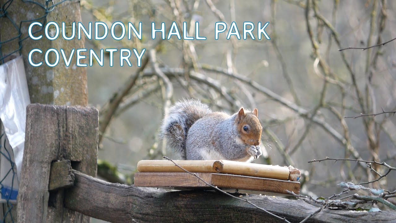 Coundon Hall Park, Coventry