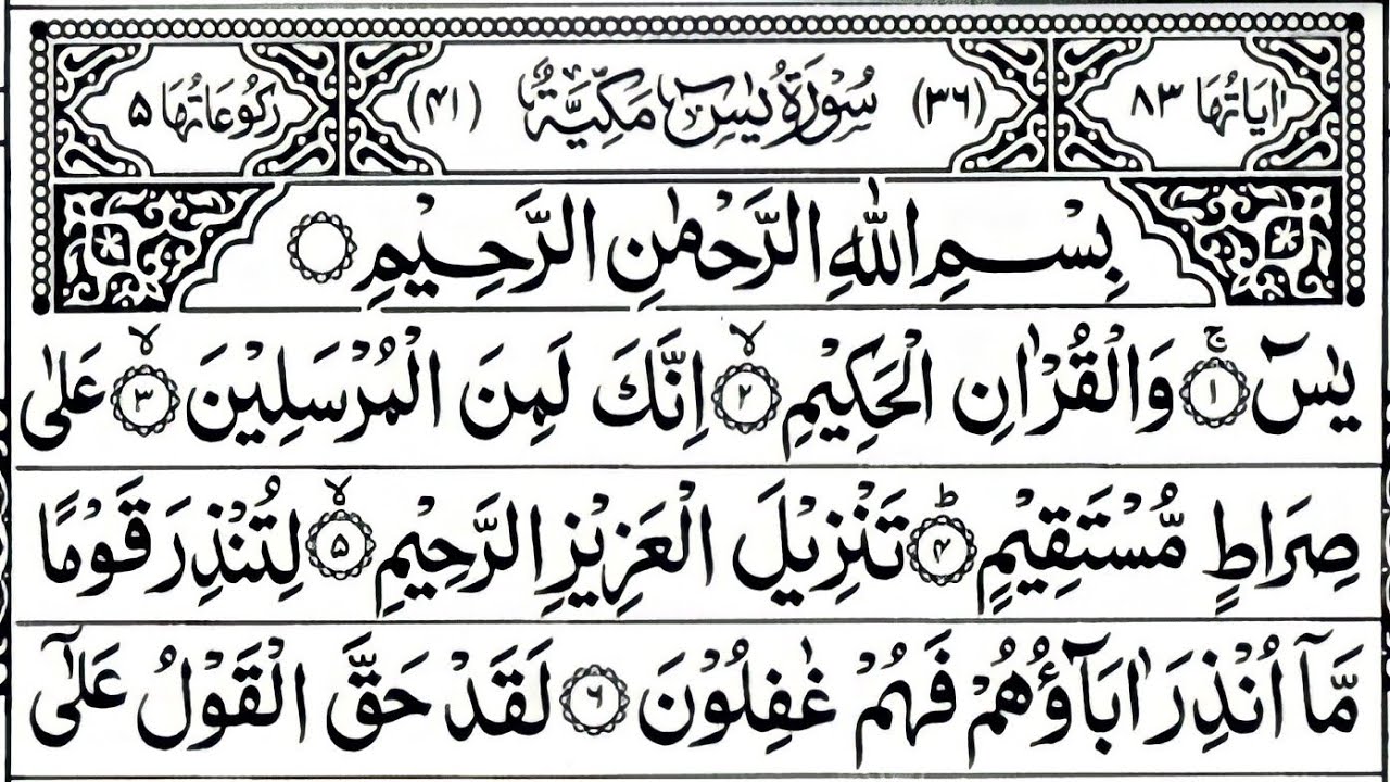 Surah Yaseen | Surah Rahman | Episode 226| Best Quran Tilawat Surah Yasin Surah Rahman Full Arabic