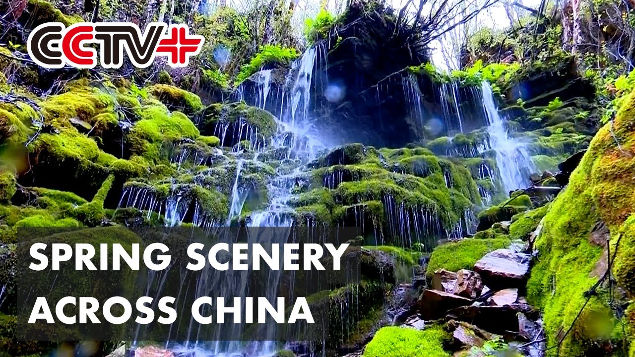 Stunning Spring Scenery Seen across China