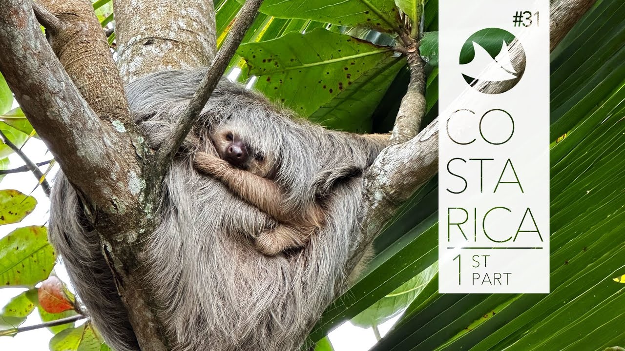 Pura Vida Costa Rica 😎🙏