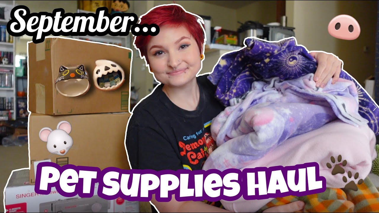 SEPTEMBER PET SUPPLIES HAUL 🐾