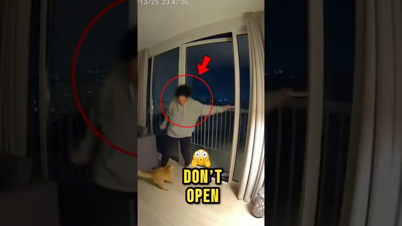 Почему кошка так испугалась? 🫣🥺😳😱