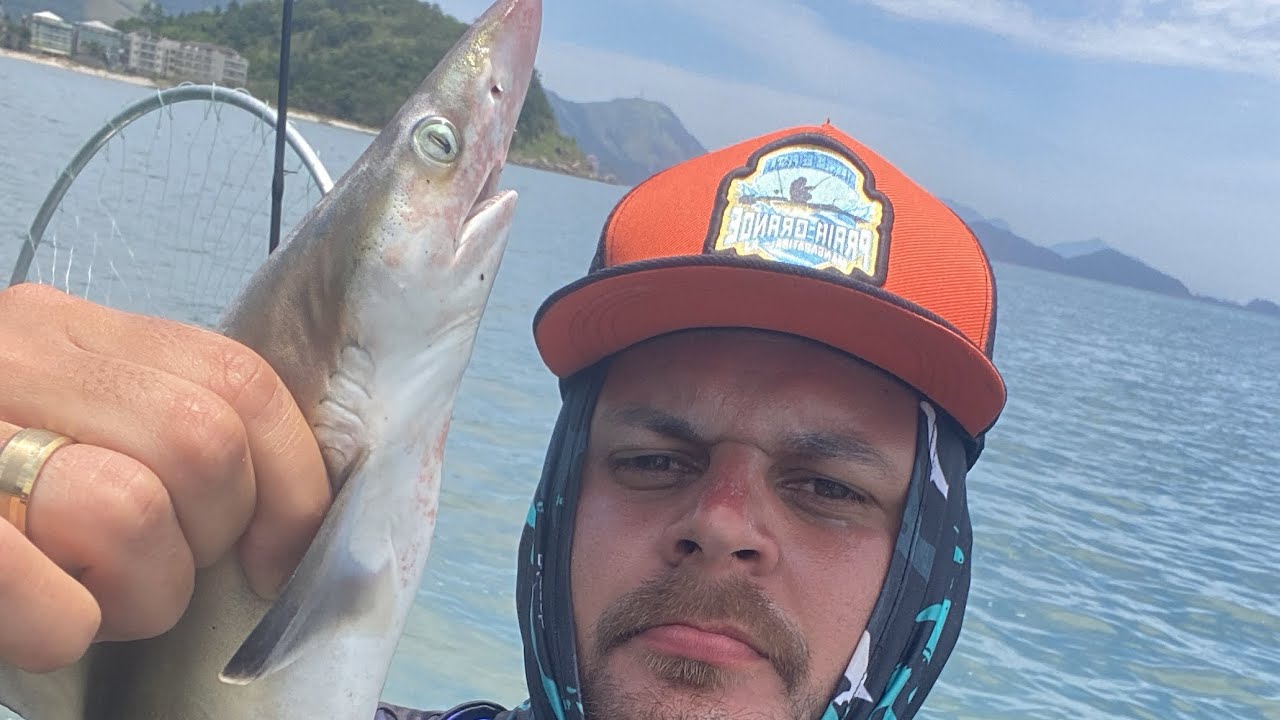 Pescaria em Praia Grande - Variedades de peixes como: Cação , corvina , sargo  e outros…