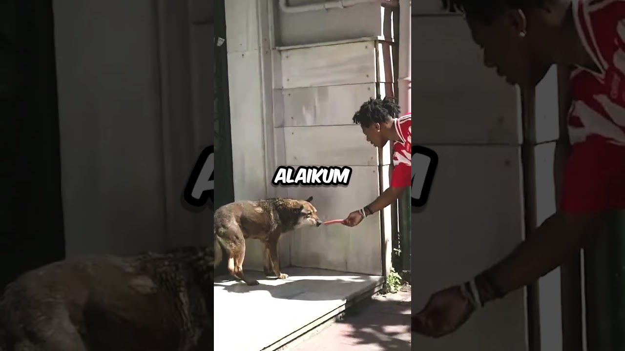 iShowSpeed Helps Homeless Dog 😥