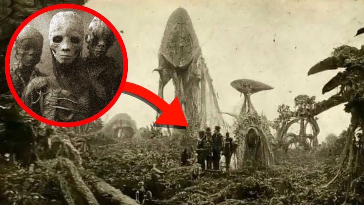 Lost City Found In The Jungle
