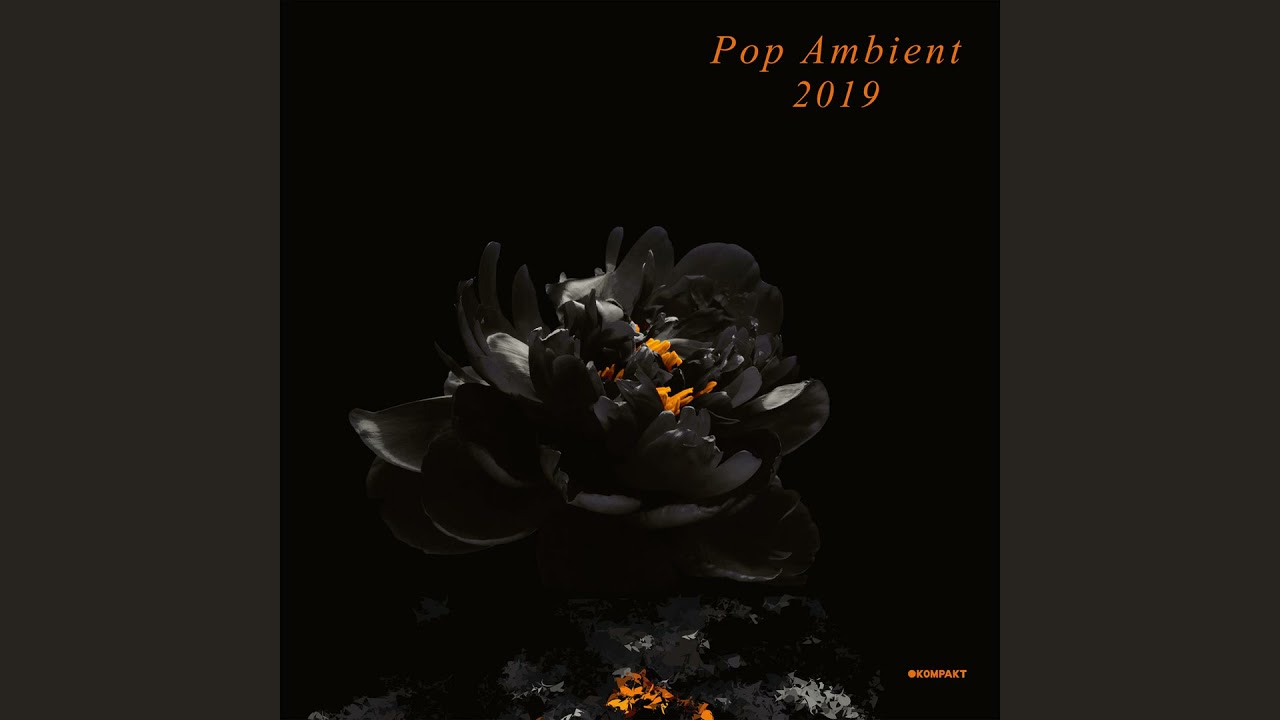 Pop Ambient 2019 (full album)