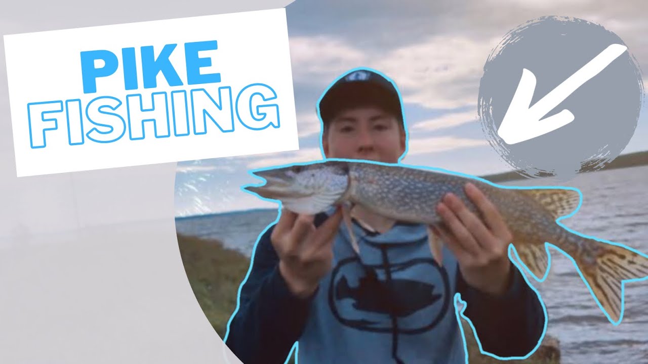 Lake Temiskaming Pike Fishing!! (NORTHERN PIKE FISHING ~ 2020) *Sick Catch*