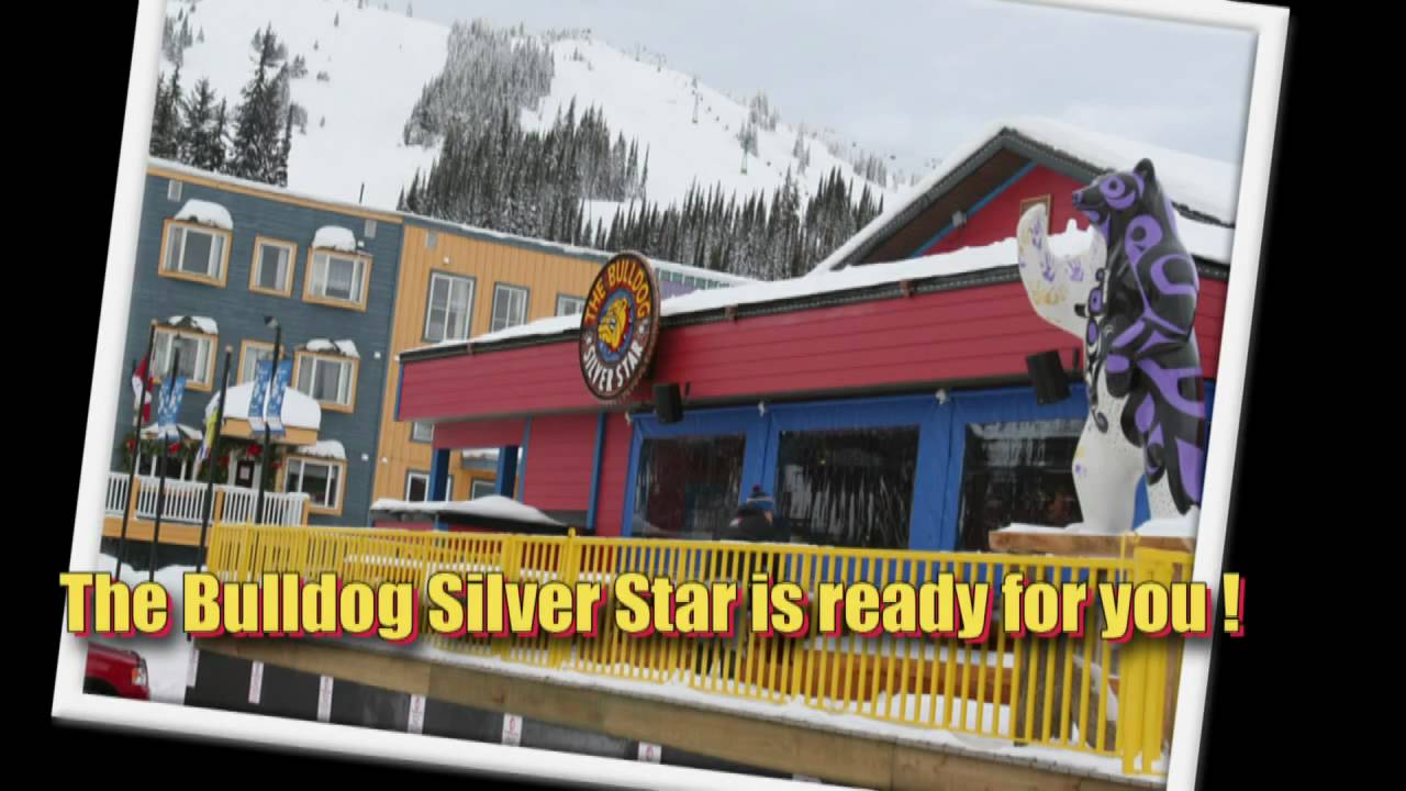 The Bulldog™ Sponsorship: Nicolien Sauerbreij and Kees-Jan van der Klooster