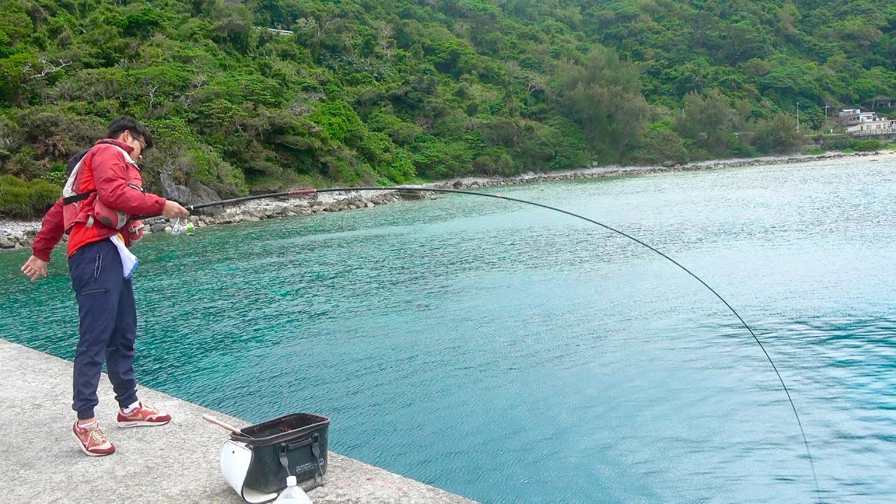 爆釣したフカセ魚を外海へ泳がせると巨大魚が食ってきた...