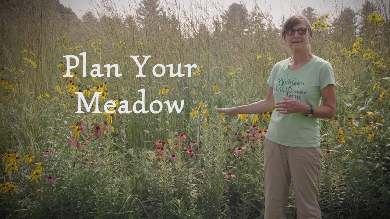 Planning Your Wildflower Meadow || Michigan Wildflower Farm
