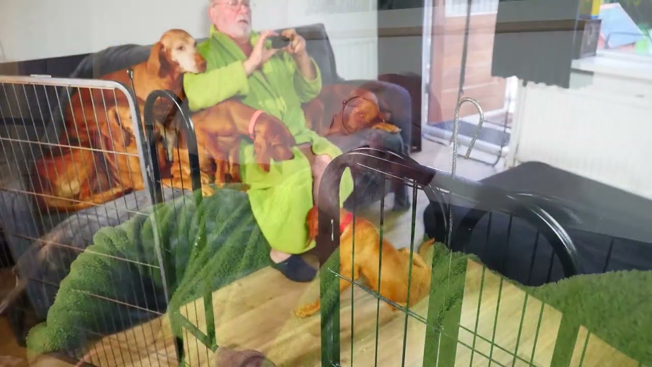 proberen een leuke foto te maken