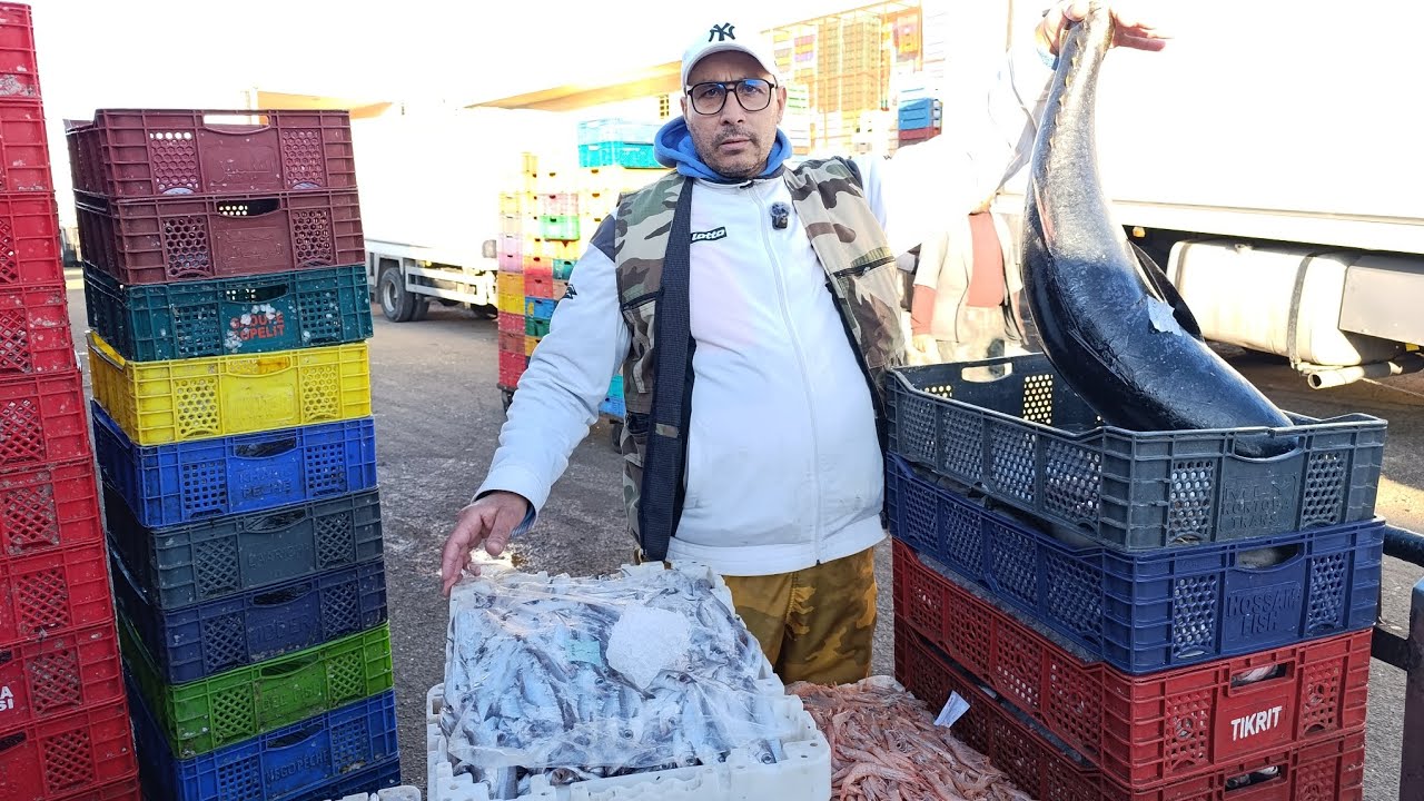 اليوم البروموا عند أسماك بوشعيب بتاريخ 16مارس2026 دائما الجودة العالية 0661789382 مرحبا بالجميع