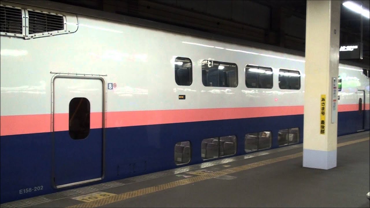 【2009年の大宮駅】東北・上越・長野新幹線の列車たち　(2009/3/26)