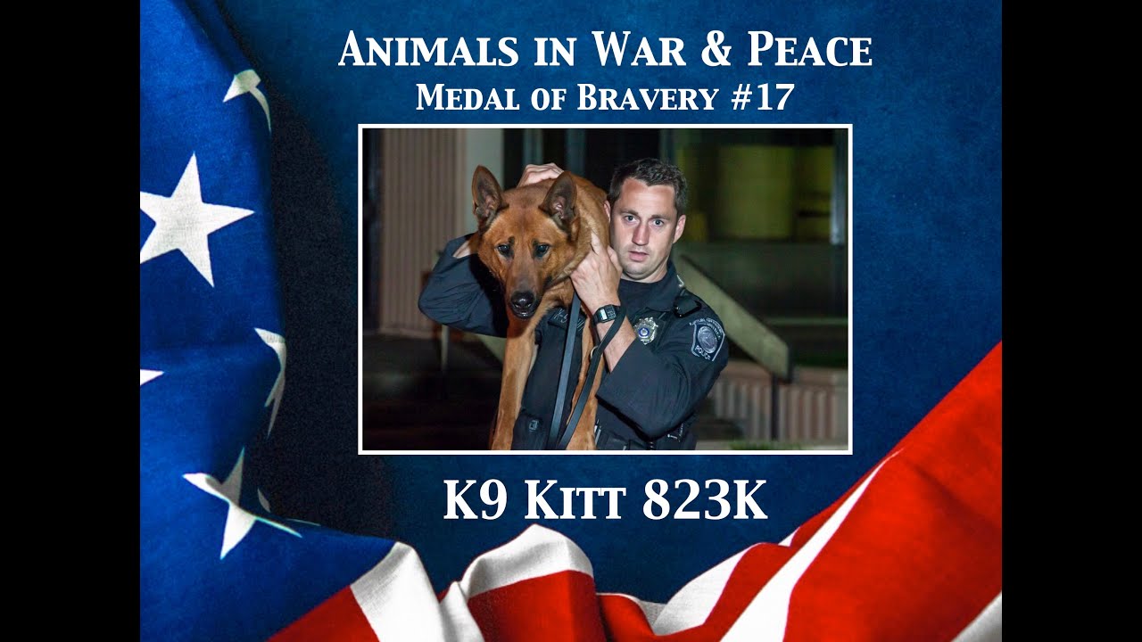 K9 Kitt 823K - Animals in War & Peace Medal of Bravery #18 (2024)