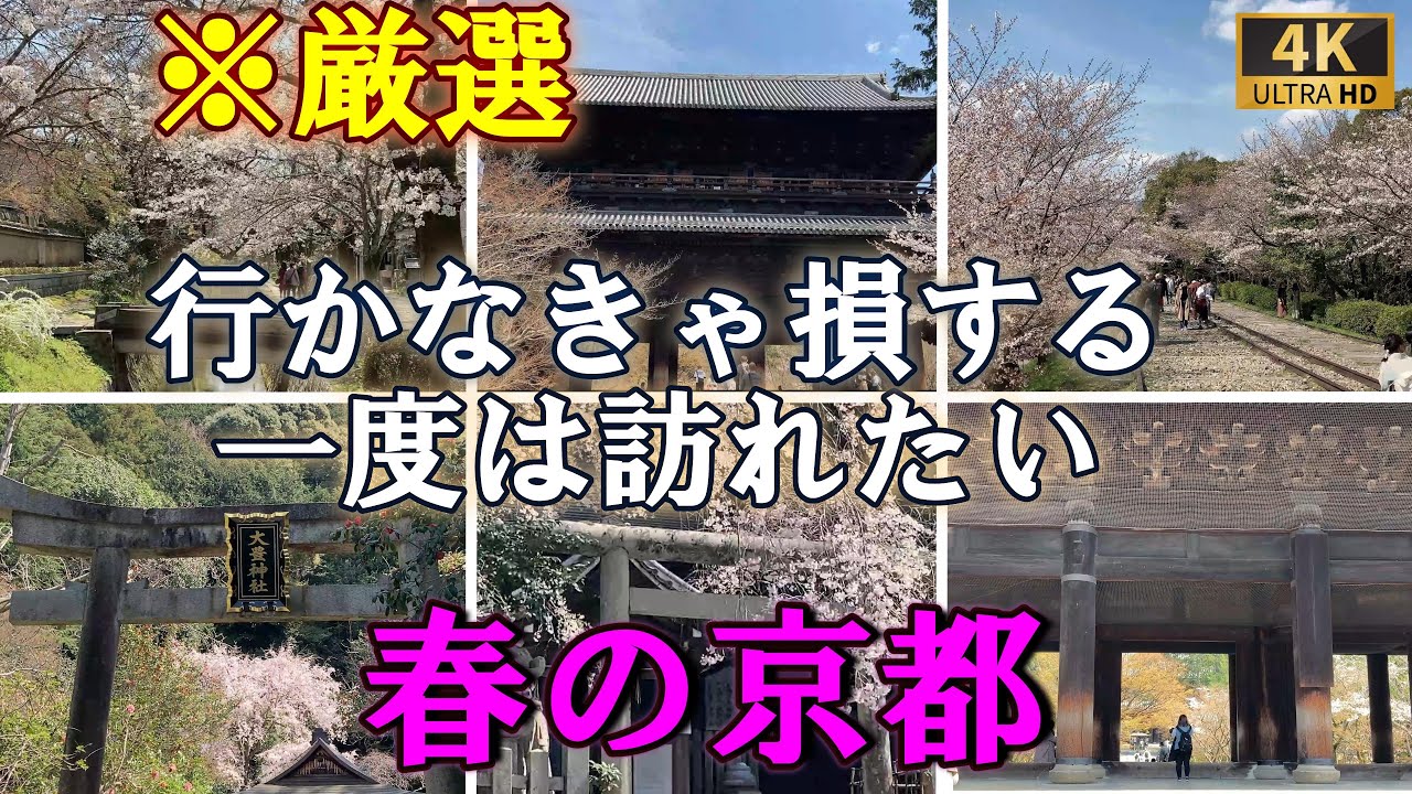 一生に一度は行くべき京都の春【パワースポット旅】
