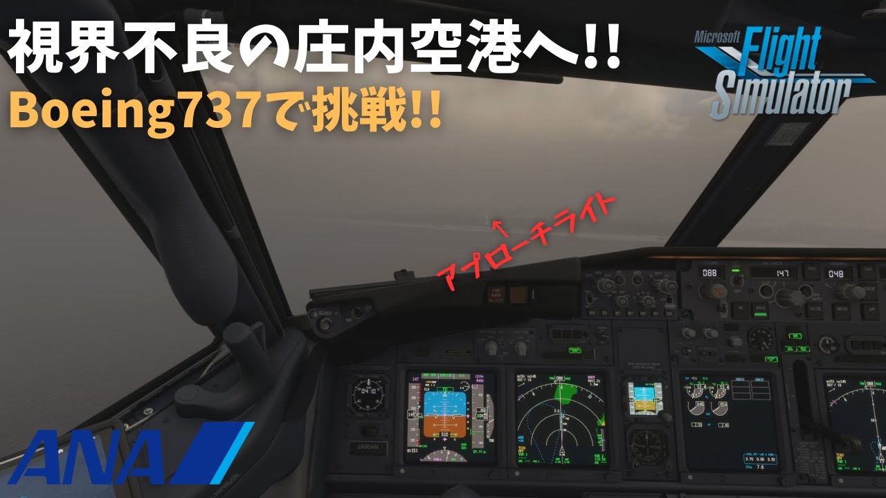 【視界不良!?】視界が悪い空港に着陸!!737で挑戦!!