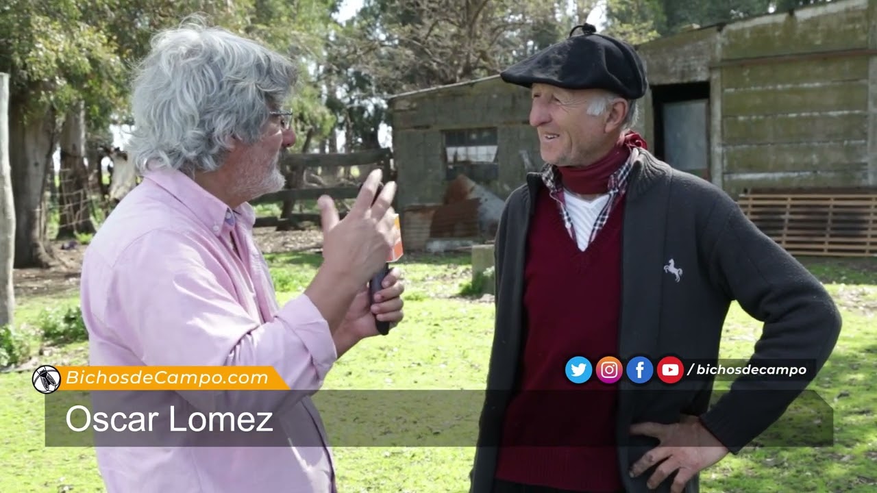 Oscar Lomez, productor de ovinos y presidente de la cooperativa Vellón de Oro