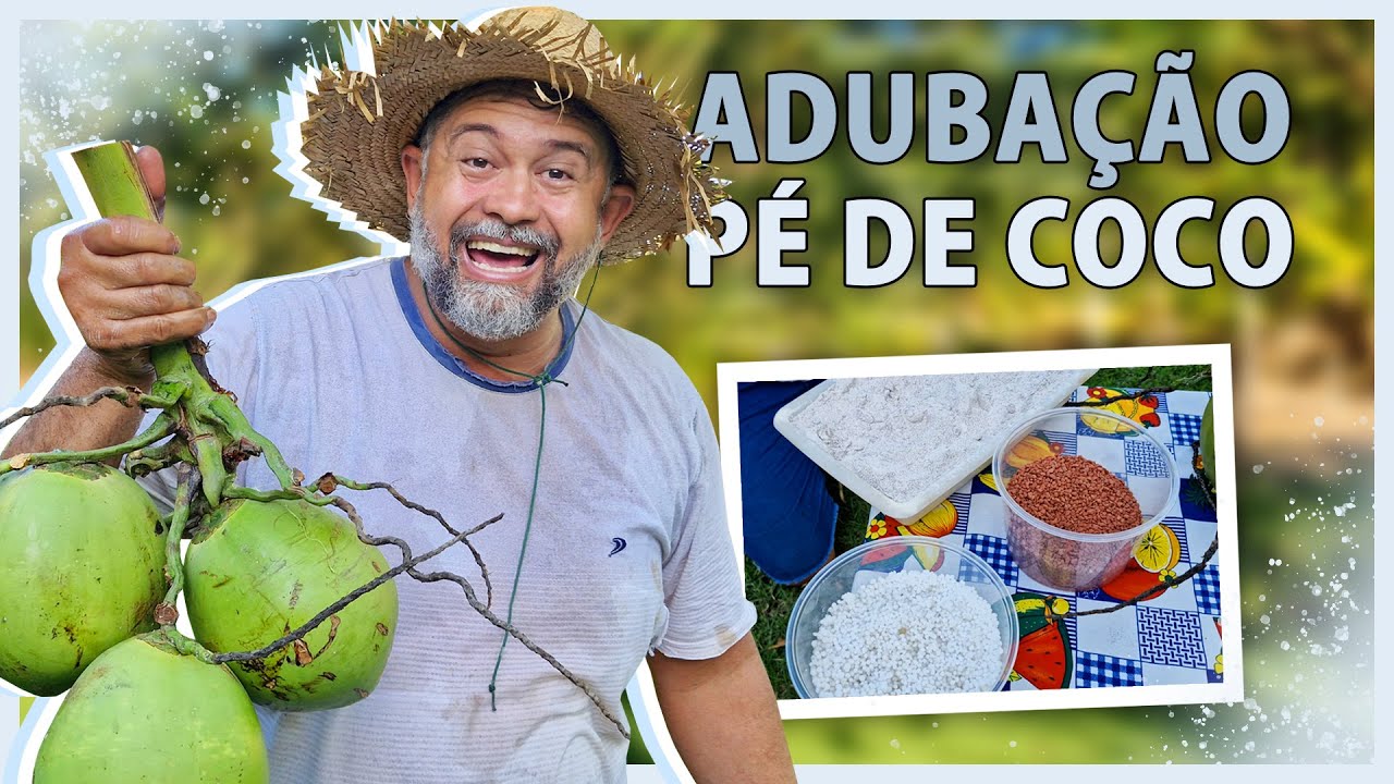 MELHOR ADUBAÇÃO para seu PÉ DE COCO produzir