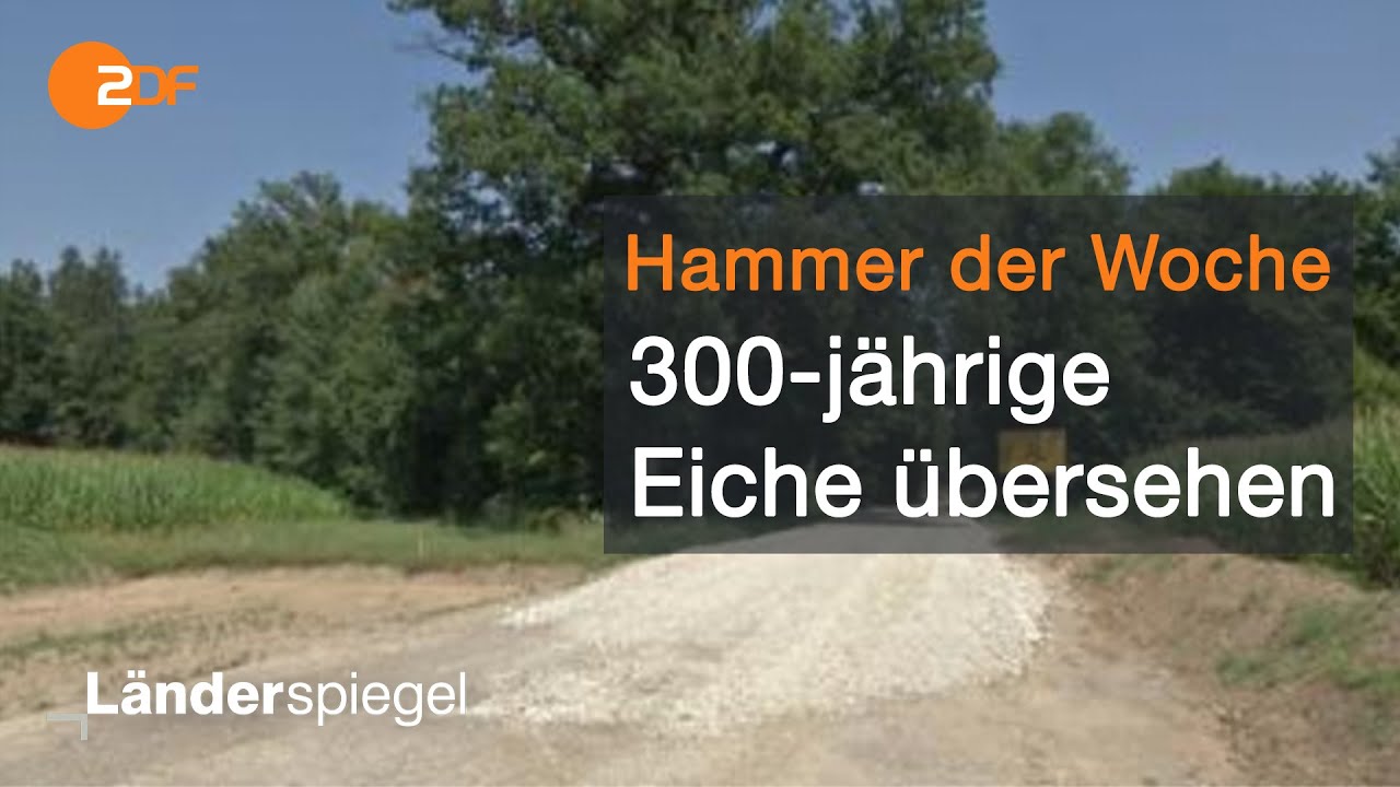 Planer übersehen 300-jährige Eiche! | Hammer der Woche vom 25.07.20 | ZDF