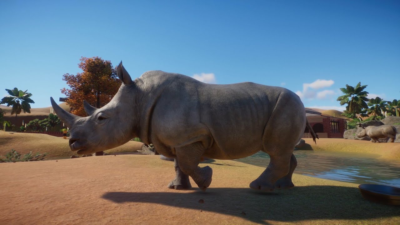 Planet Zoo (PC)(English) #108 7 Minutes of Southern White Rhinoceros  (Africa DLC)