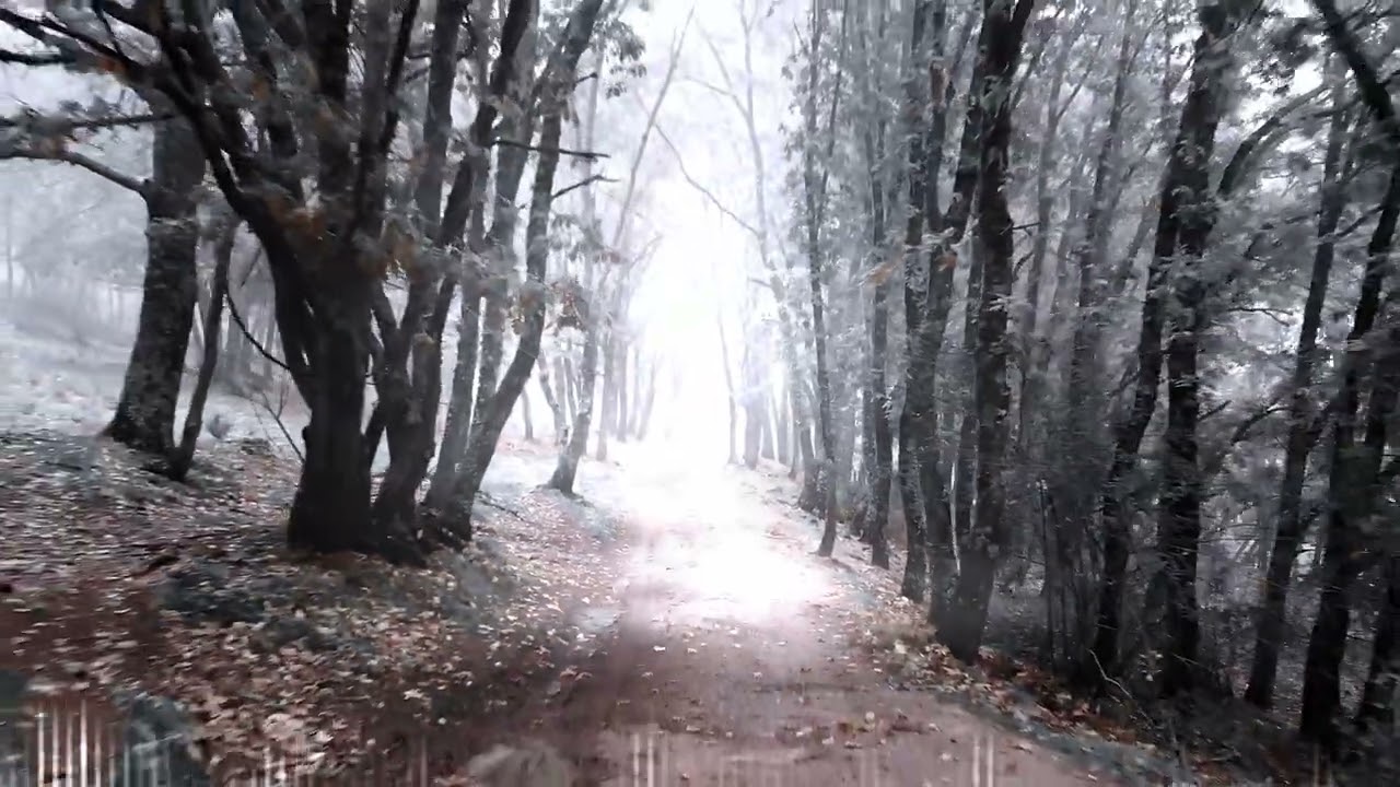 Aurelian Ash - The Name Of Ashes