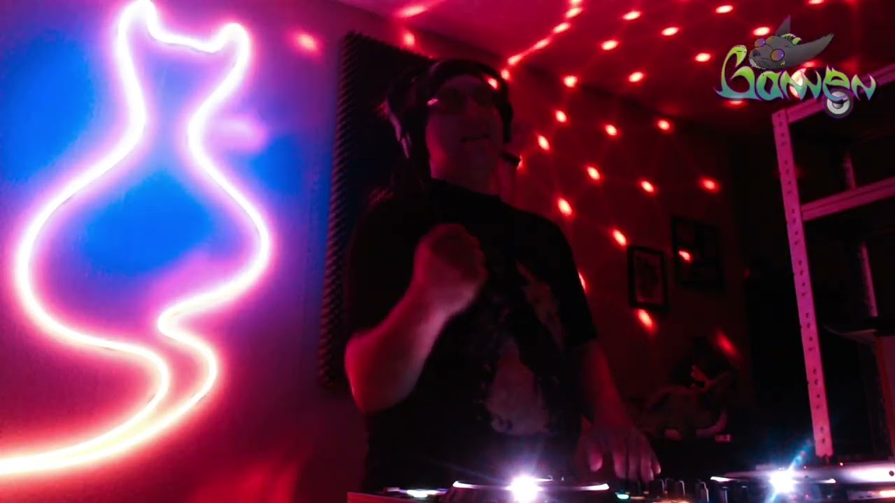 DJ Gannen DragonTail Festival Folk Metal