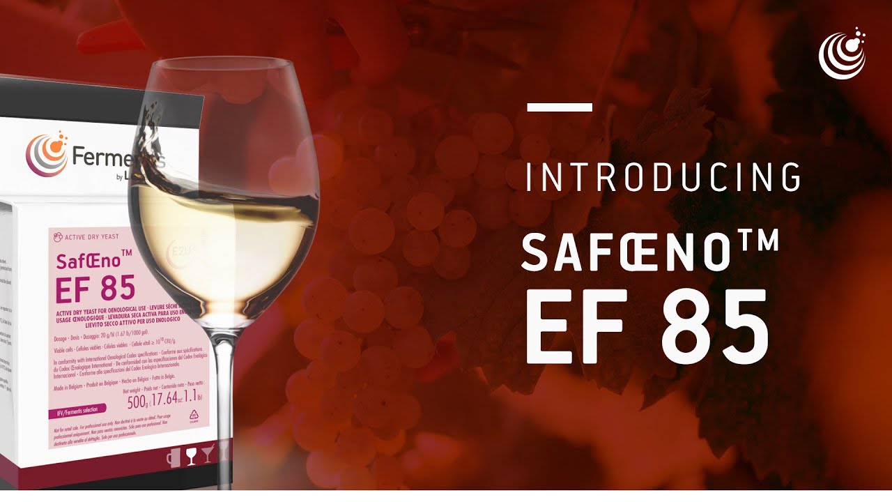 Saf&OElig;no&trade; EF 85 - Wine yeast strain for fruity and floral whites - Fermentis