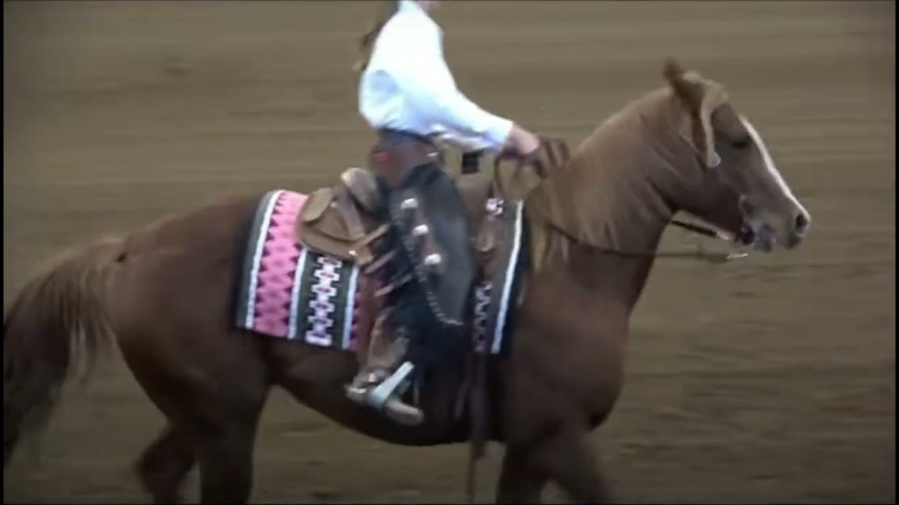 Sawyer & Slippery Lil Cat WSRHA Buckle Bonanza Oct 2025