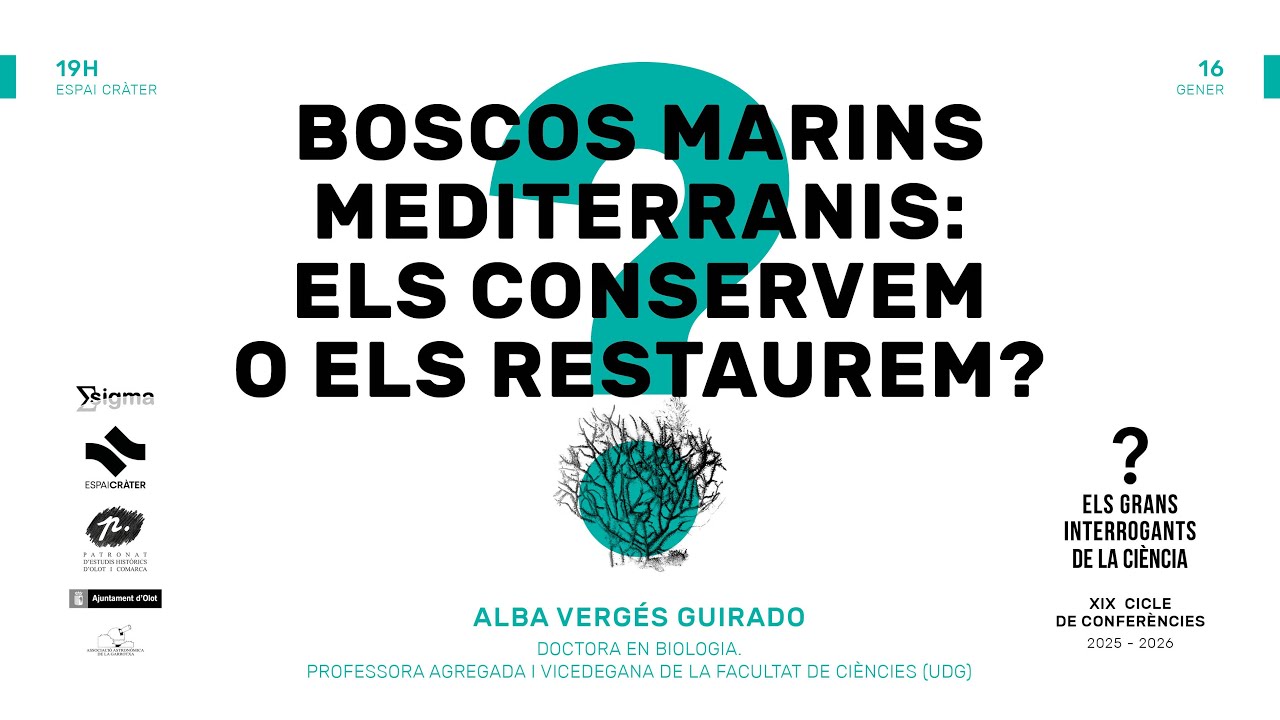 Boscos marins Mediterranis: els conservem o els restaurem? | Alba Vergés Guirado