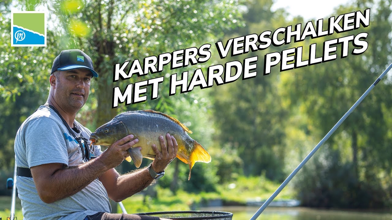 KARPERS VERSCHALKEN MET HARDE PELLETS  | Davy  Verdoorent