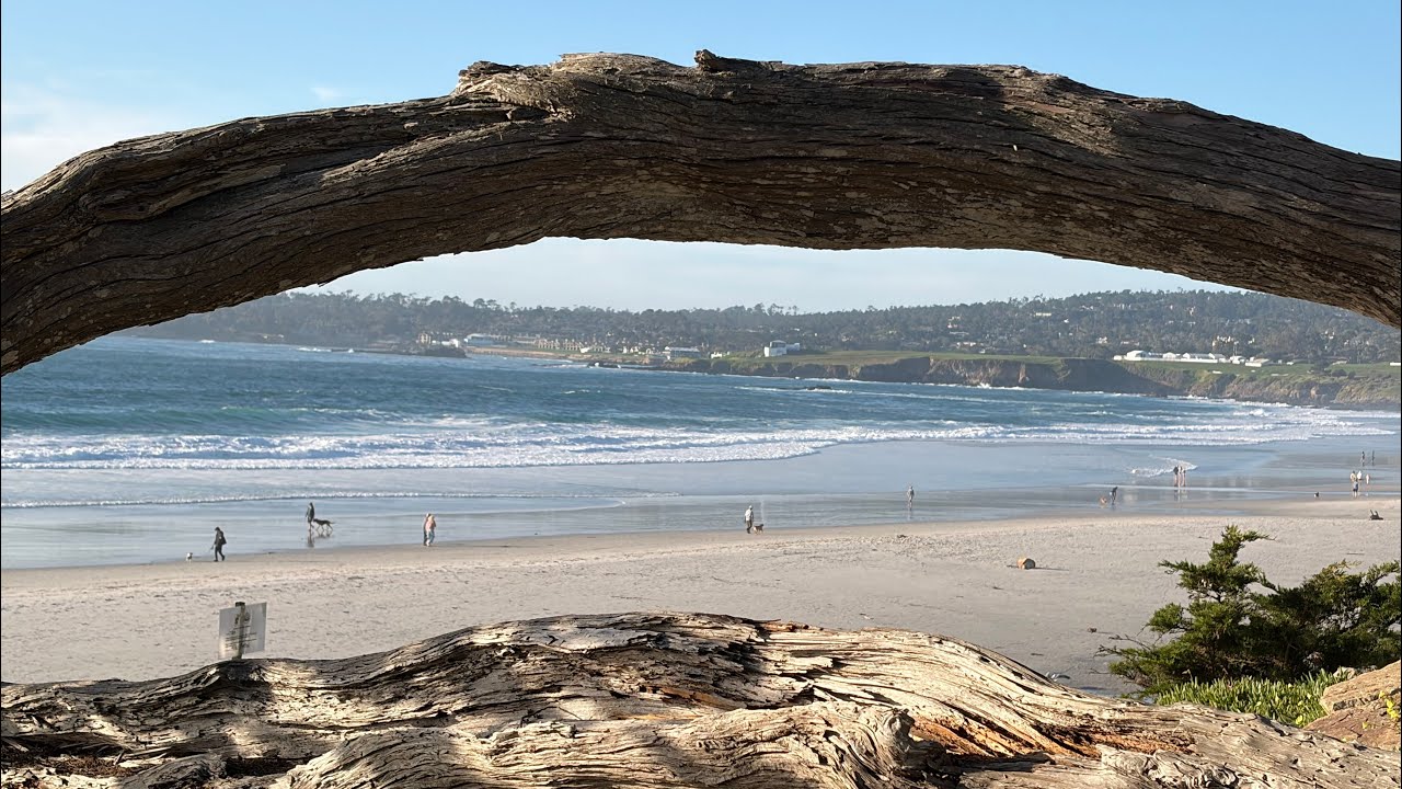 JnK716  #253  2026 Jan:  Carmel-by-the-Sea Town and Beach Walk
