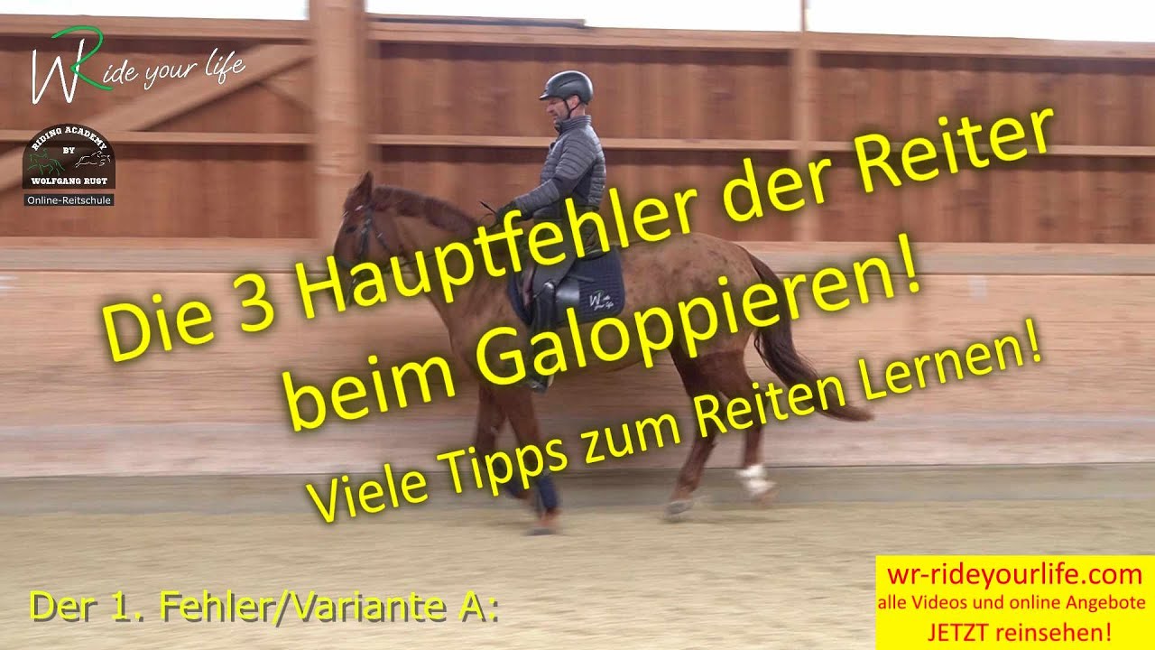 F162 Bella Teil 2: 3 Reiterfehler und Lösung beim Galoppieren; Warum Pferde nicht gut Galoppieren.