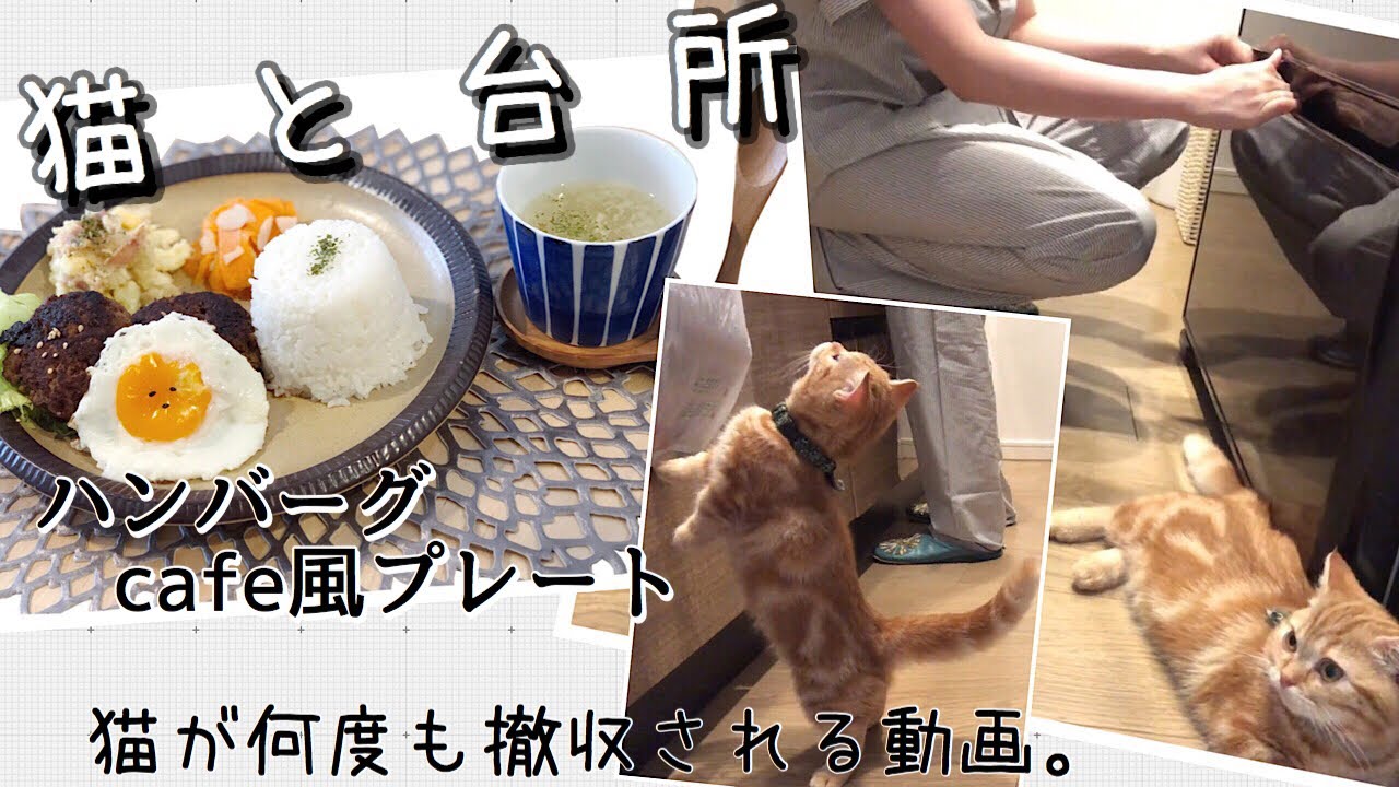 【料理動画♯32】猫が何度も連れ去られる中、ハンバーグプレートを作る。【ハンバーグ】【猫動画】