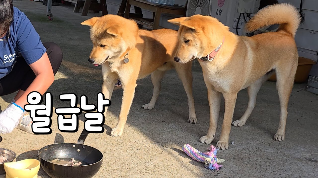순식간에 사라졌습니다