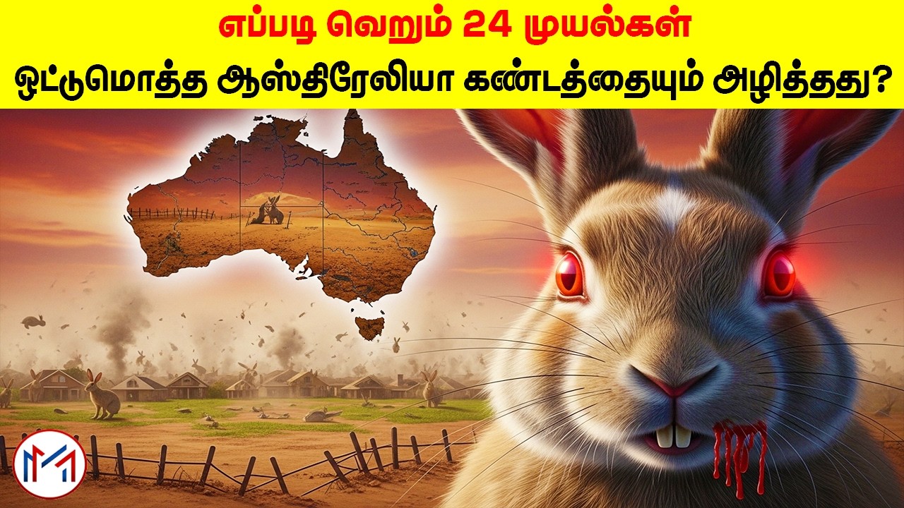 ஆஸ்திரேலியாவை அழித்த 1000 கோடி ராட்சசப்படை! 🤯 | The Great Rabbit War | Minutes Mystery