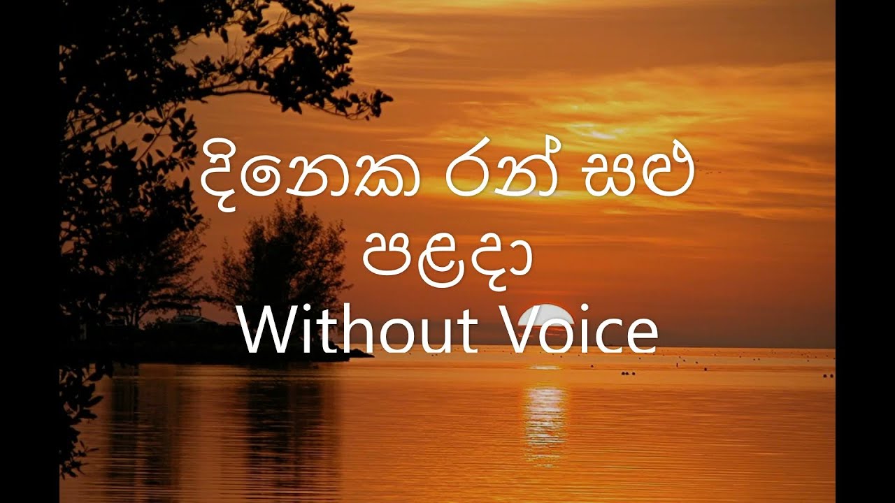 Dineka Ransalu Palada Karaoke (Without Voice)/ Milton Mallawarachchi