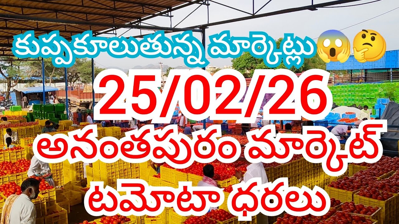 25/02/26 అనంతపురం టమోటా ధరలు Ananthapuram tomato market prices today #ananthapuram
