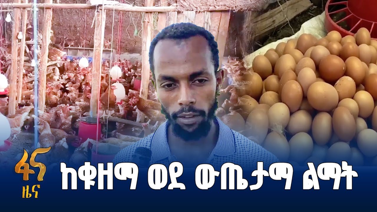 በእንቁላል ዶሮ እርባታ የተገኘ ስኬት