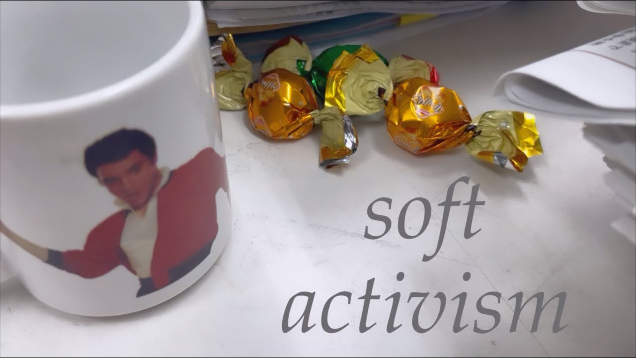 soft activism    one week, many voices — as an election volunteer