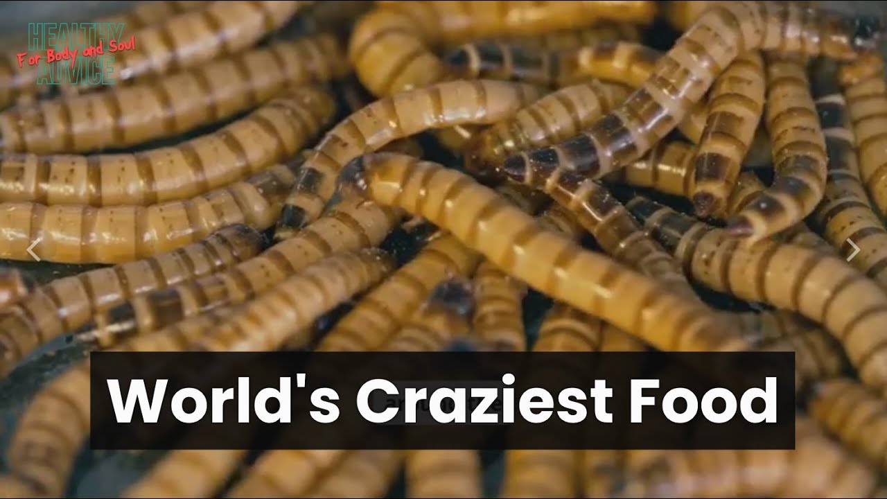 Insects! What do they taste like?