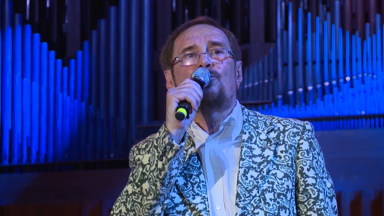 Boris Babarović i prijatelji - Zagreb, moj rodni grad (live)