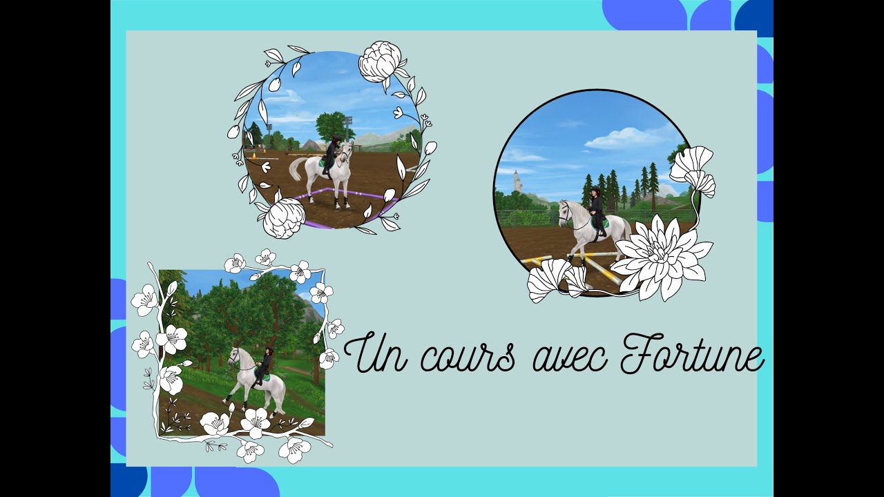 Un cours avec Fortune