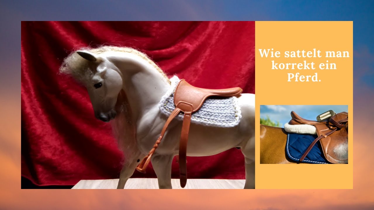 Wie sattelt man korrekt ein Pferd ➔  Grundwissen ➔ Pferde Wohlsein