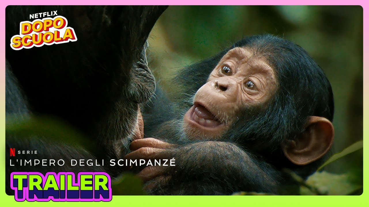 È ARRIVATO L'IMPERO 🐒 L'impero degli scimpanzé | Netflix DOPOSCUOLA