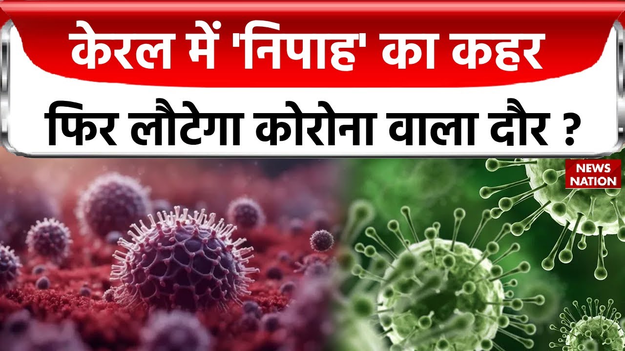 New Virus Alert : Kerala में नए वायरस की हुई एंट्री, जानें कितना खतरनाक है यह वायरस ? | Nipah Virus