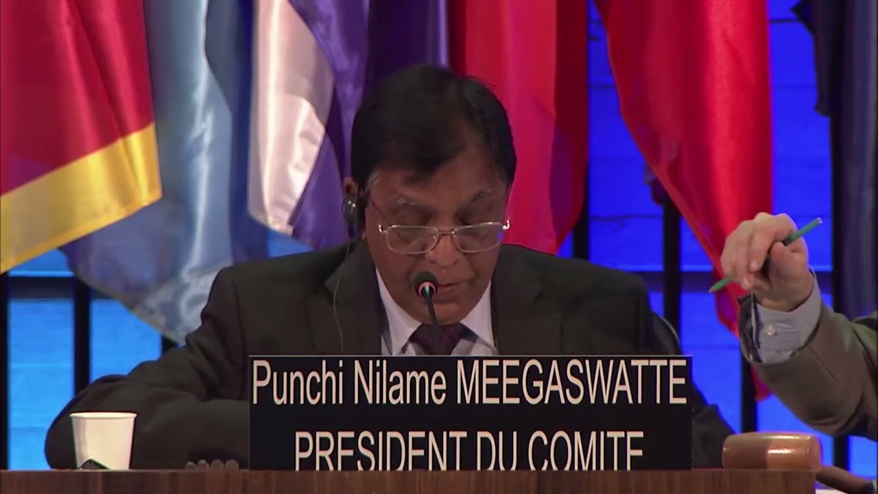 16th session of the Intergovernmental Committee - pt16part1