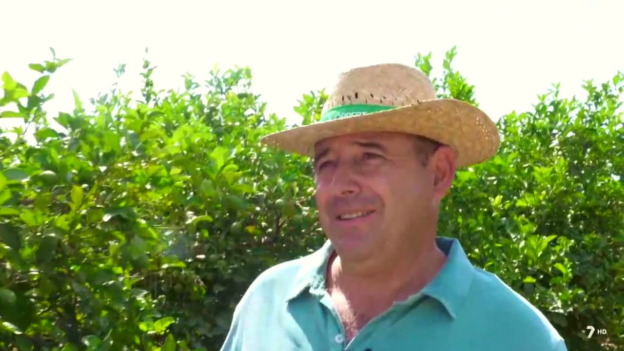 Limón ecológico: así se hace el control biológico de plagas.