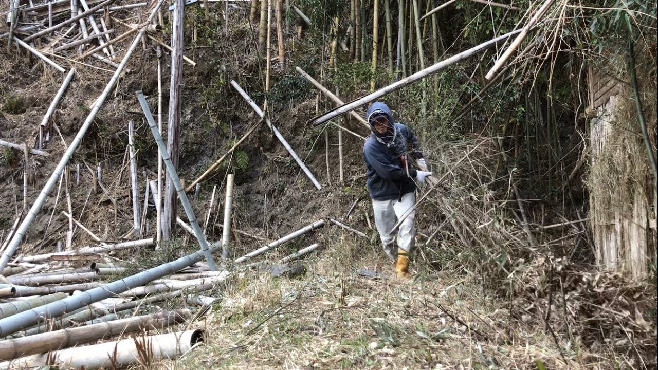 荒廃した竹林の整備～藪に埋もれて朽ちかけた小屋のお片付け2024/02/08-01
