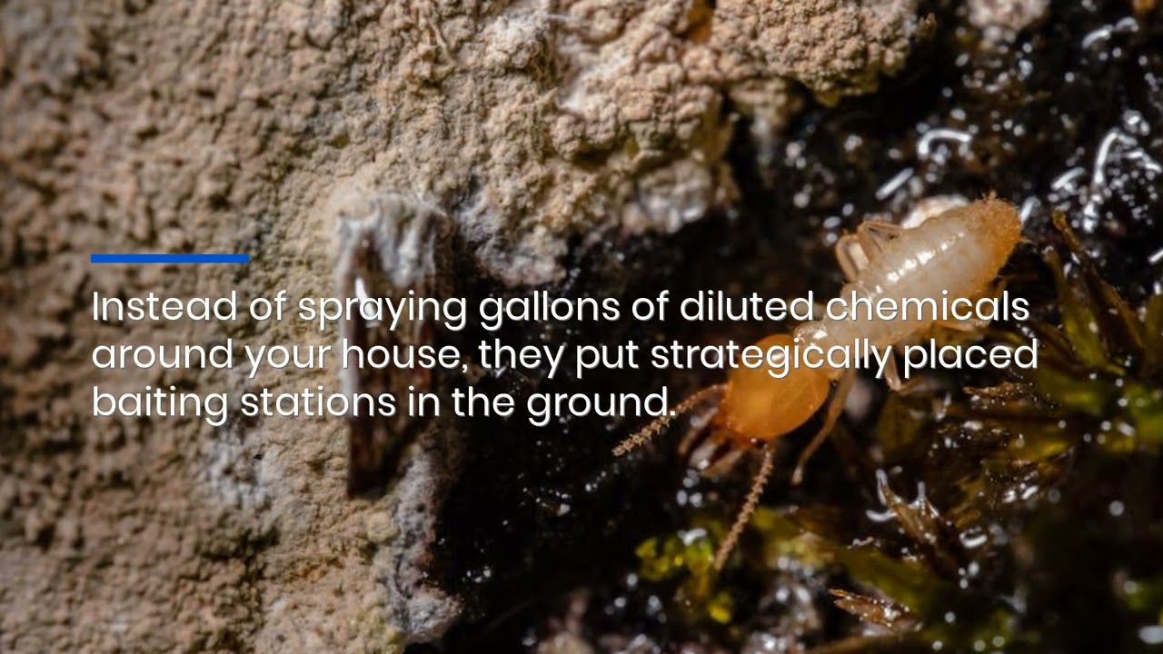 Non-Toxic Termite Treatment Toms River: Effective Sentricon Baiting System
