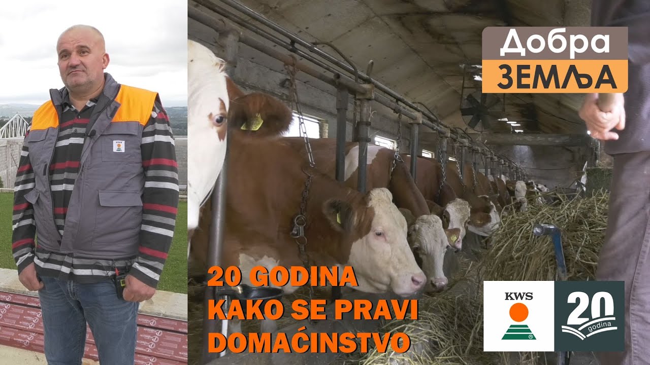 KAKO JE NAPRAVIO DOMAĆINSTVO U BRDIMA -nekada i sada   POREDJENJE - proizvodnja MLEKA -KWS ambasador